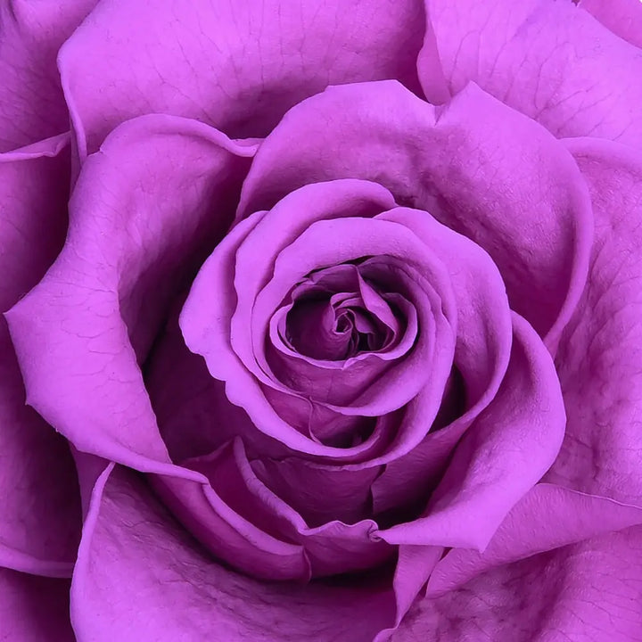 THE BLOOMING - ROUND CRYSTAL RED ARRANGEMENT BIG