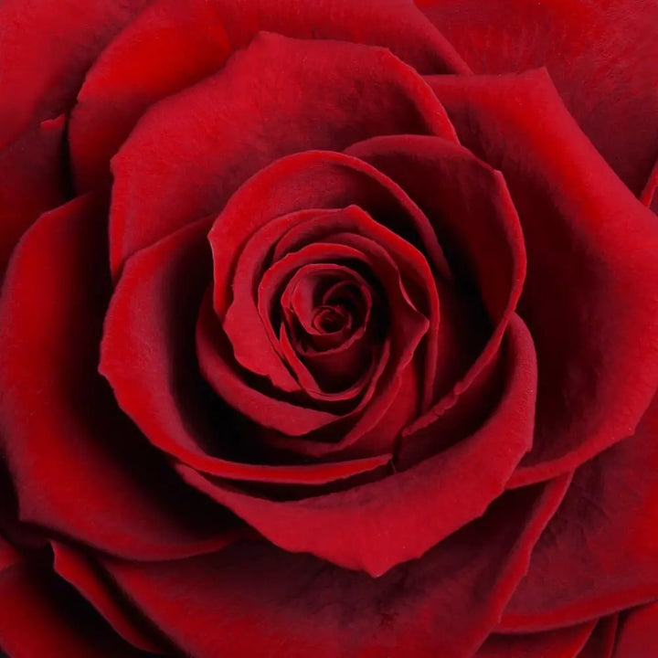 THE BLOOMING - ROUND CRYSTAL RED ARRANGEMENT BIG