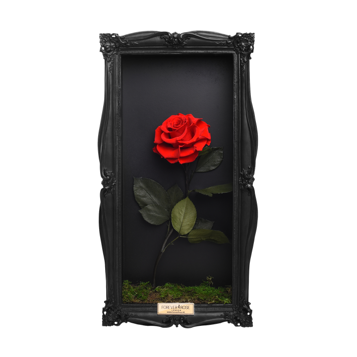 Wall Frame Black-Single Rose