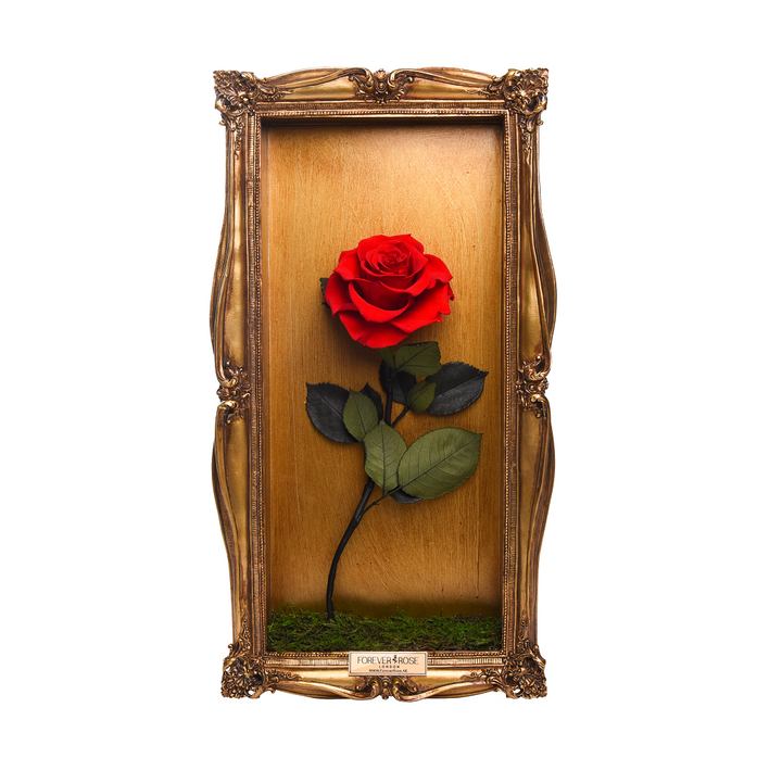 Wall Frame Gold-Single Rose
